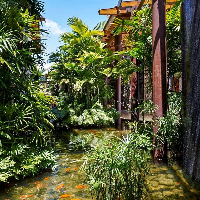 palmsandvillas's tweet photo. Walk to your room through the exotic jungle of Villa Ammonite. Tag someone you would bring here with you! 
⁠
🏠 Villa Ammonite
📍 Punta Cana, Dominican Republic⁠

Check featured villa 👇
https://t.co/OZrGb5em4T https://t.co/ASVfQonkKL