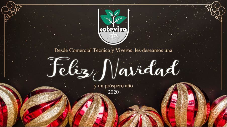 cotevisa's tweet photo. Que en este año 2020 se cumplan todos vuestros proyectos, desde COTEVISA os deseamos una Feliz Navidad y próspero año nuevo!!! https://t.co/WDgV5gFxmY