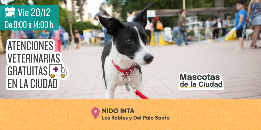 AnimalesBA's tweet photo. Si necesitas vacunar a tu mascota contra la rabia, acercate este viernes 20 de 9 h. a 14 h. al móvil de Villa Lugano 💉
🗓 Consultá el cronograma en https://t.co/CKjtxf0uMb https://t.co/ugUTlR14oh