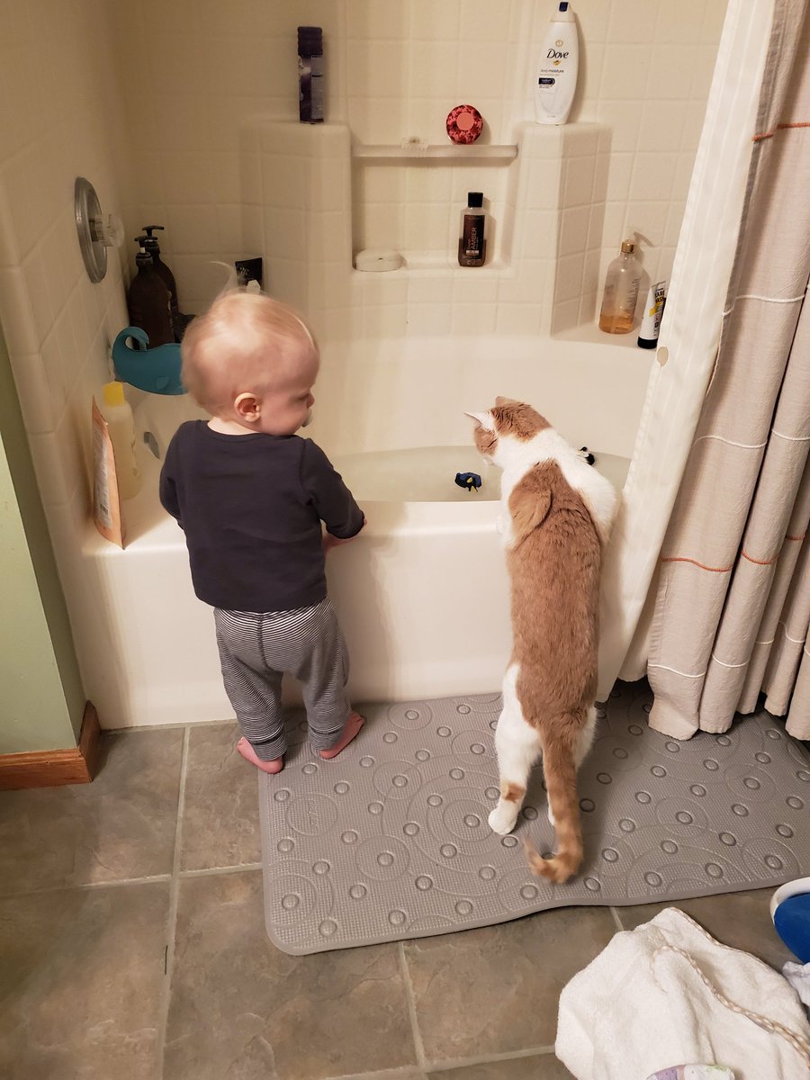 shme0301's tweet photo. #cats #baby #buddies #bathtime https://t.co/nL1xzdTjNi