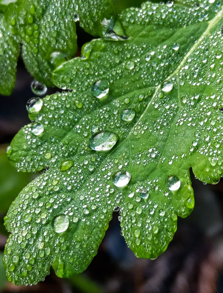 sardroid's tweet image. ©️: Hubert Utnicki (sardroid)
📷: #HTCU12+ #promode
🌍: Garwolin, Poland 🇵🇱
📆: 18.12.2019