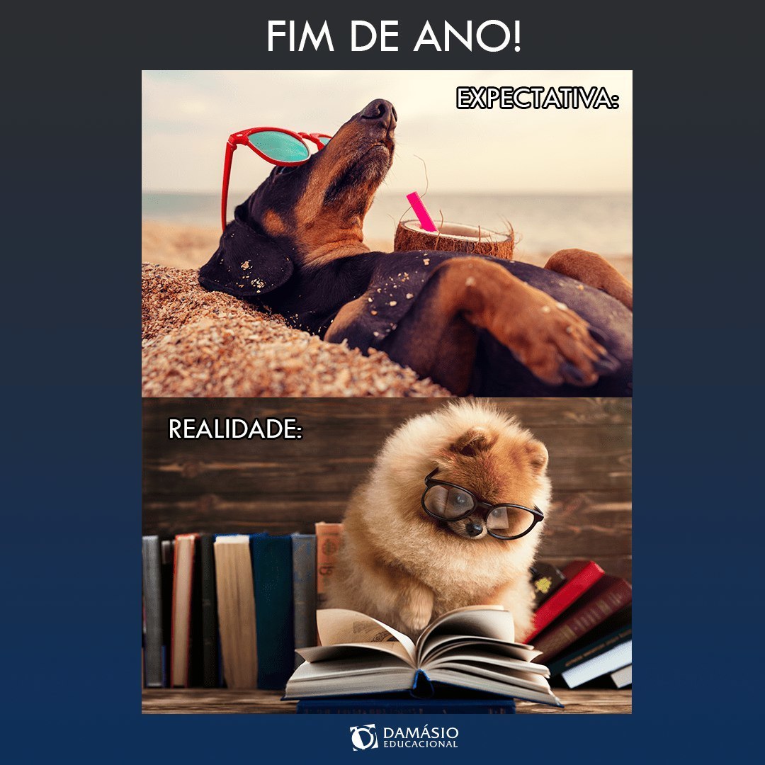 DamasioColatina's tweet photo. Fim de ano chegando e continuamos estudando! 📚🤓 https://t.co/JCPlaf7ZqI