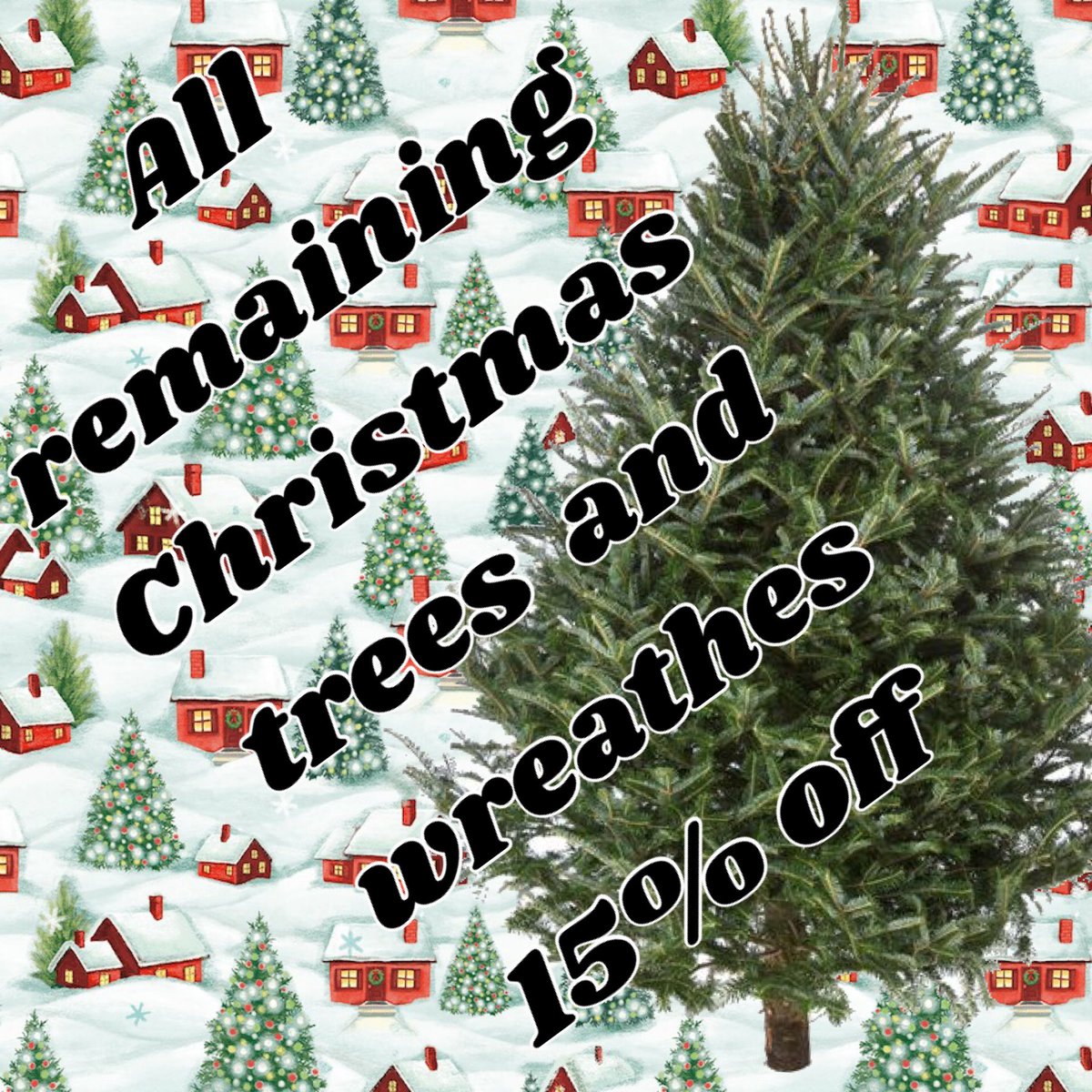 JettysLandscape's tweet photo. Real Christmas trees and wreathes in  SALE! https://t.co/KOF7UiiPO8