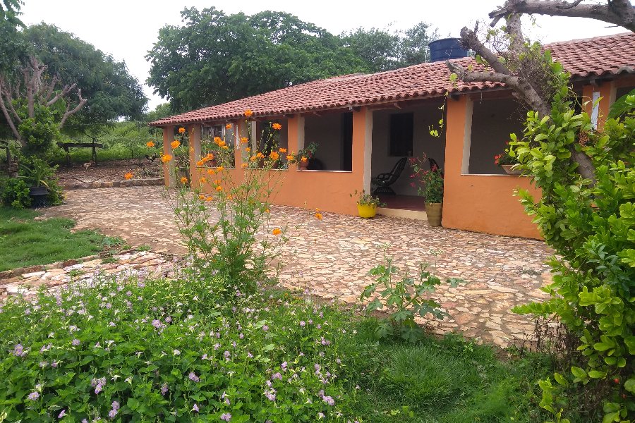 NordesteEco's tweet photo. Potengi, no Cariri cearense, ganha o Museu Casa dos Pássaros do Sertão
Com @sesc_ce
Leia mais: https://t.co/9uoA6sHyTO
#Birdwatching #Caatinga #Cariri #MuseuCasadosPássarosdoSertão #MuseusOrgânicosdoSesc #observaçãodeaves #Potengi #SistemaFecomércioCE #SítioPauPreto https://t.co/snjx1l3gDO