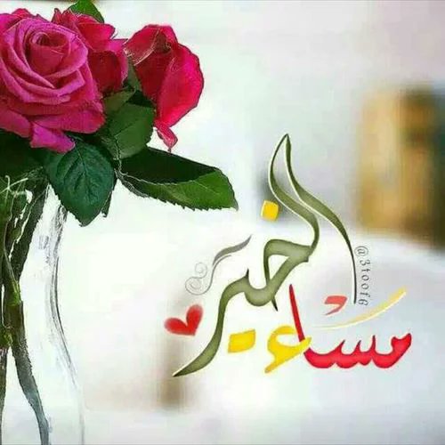 samir19276633's tweet photo. مساء الخير الي كل الصديقات والاصدقاء https://t.co/hU8h3ZsJck