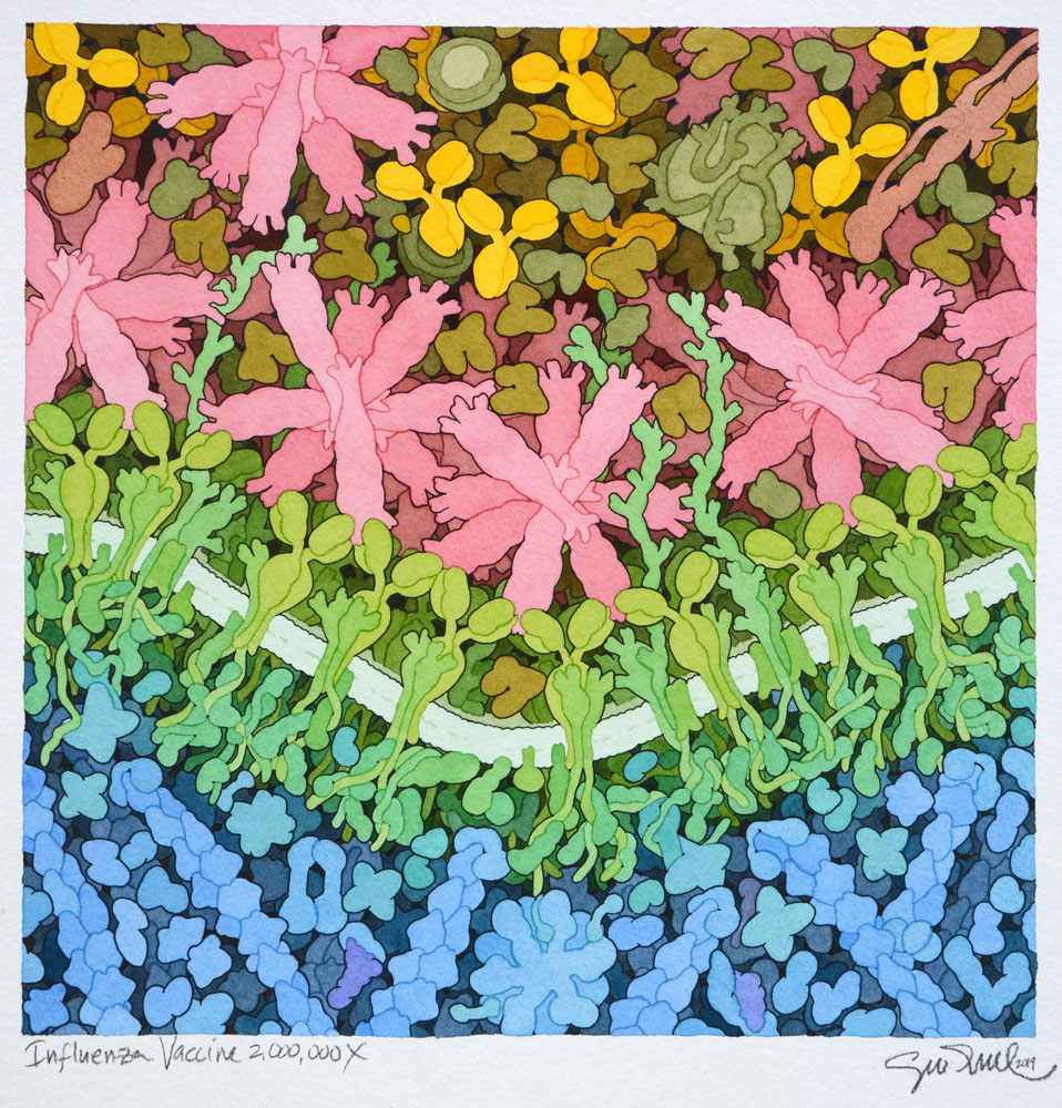 David S. Goodsell 🏳️‍🌈 tweet media