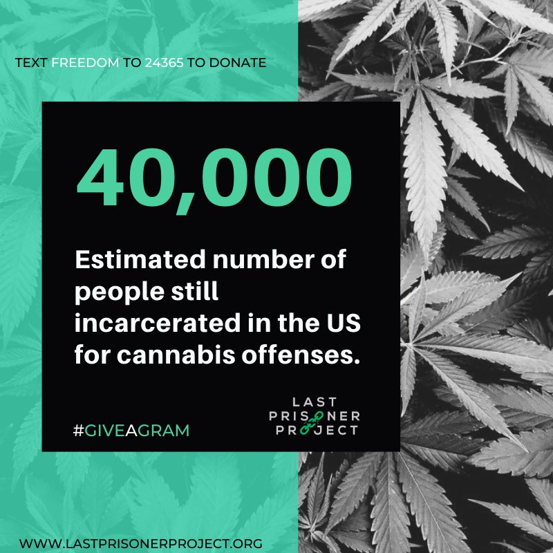Despite widespread legalization, an estimated 40,000 individuals remain incarcerated in the US for victimless cannabis offenses. Last Prisoner Project is dedicated to bringing an end to this injustice.

lastprisonerproject.org/donate