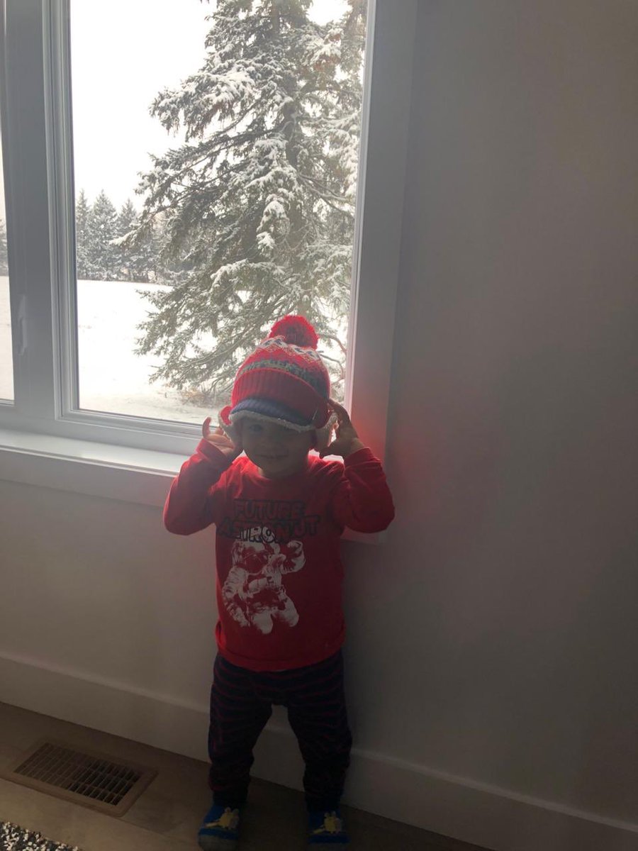 FernadaToro's tweet photo. Mis niños son muy Perfecto.🥰 https://t.co/QbWOOkxucr
