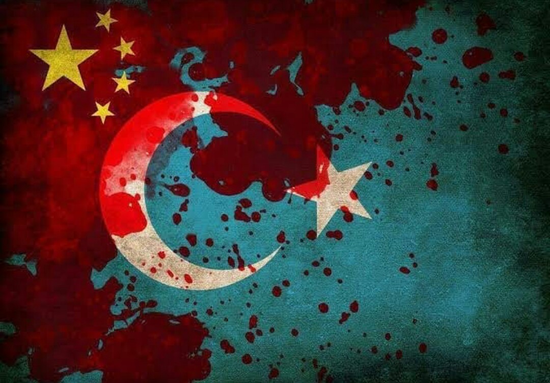 #BuZulmeDurde
#Duruş