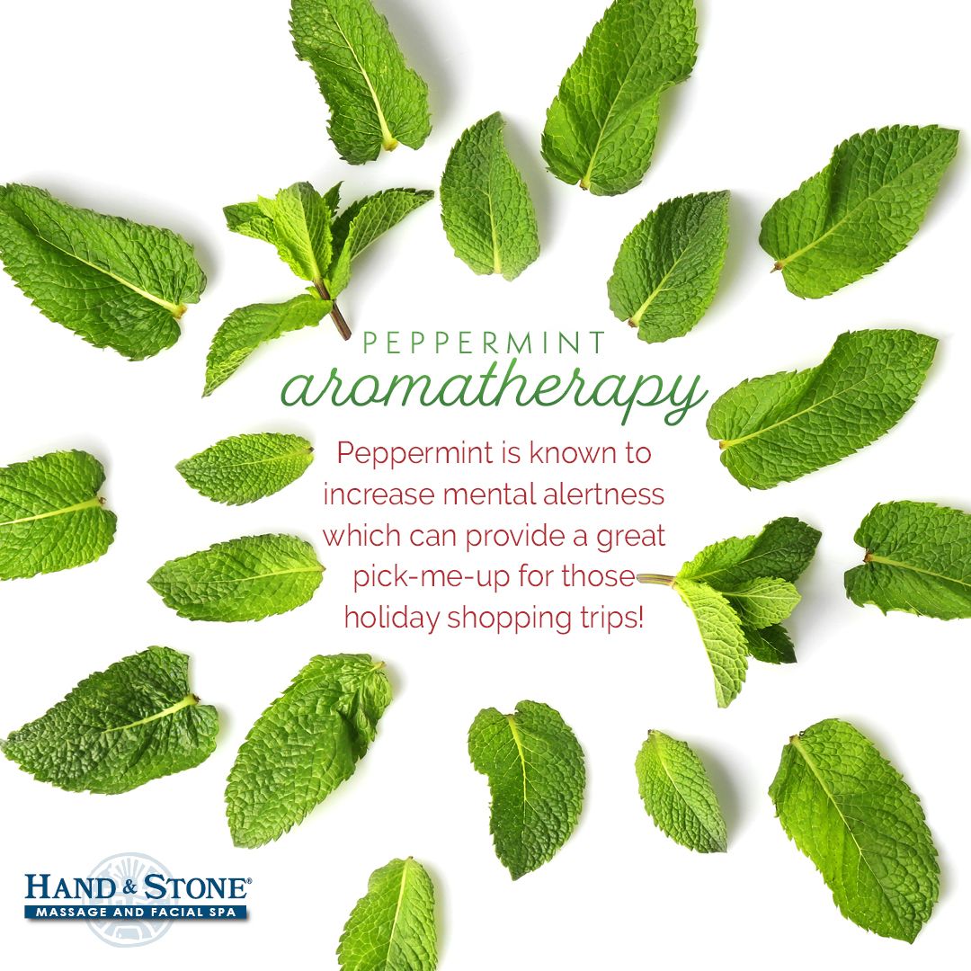 Aromatherapy can do incredible things for our mind and bodies. Check out today's Christmas special 😉
#aromatherapy #peppermint #essentialoils #essentialoil #essentialoilbenefits #mind #body #relax #heal #scalpmassage