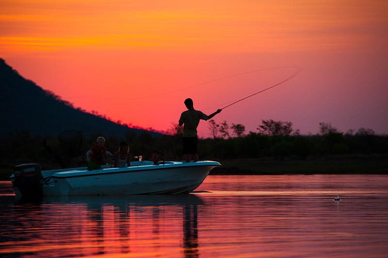 While Lake Kariba is a year-round fishing destination, now is the time things start to really heat up!

Reel in a big one with us:
musangosafaricamp.com/safari-experie…

#Zimbabwe #LakeKariba #ZambeziRiver #Wilderness #Fishing #TigerFish #Safari #SafariCamp
