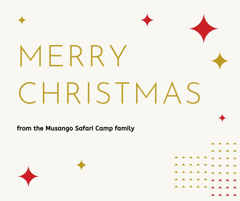 May this Christmas bring you nothing but fond memories, happiness and laughter shared with those you love!

musangosafaricamp.com

#MerryChristmas #ChristmasIsHere #Christmas2019 #FamilyIsForever #FamilyTravel #FamilySafari