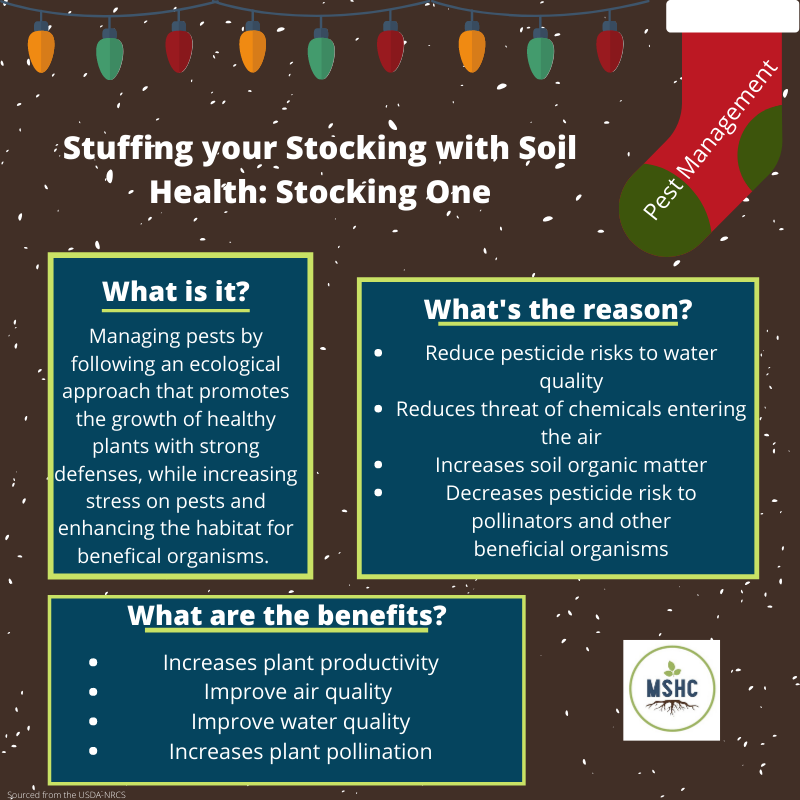 mnsoilhealthco's tweet photo. Today is day one of Stuffing your Stocking with Soil Health! Follow along for the next 6 stockings 🌱 #soilhealth #stuffyourstocking #minnesota https://t.co/v3uFDaIL4k
