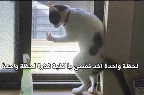 M0oo11's tweet photo. حسبي الله ونعم الوكيل ف دي كليه 💔 https://t.co/fQTLhrKqgN