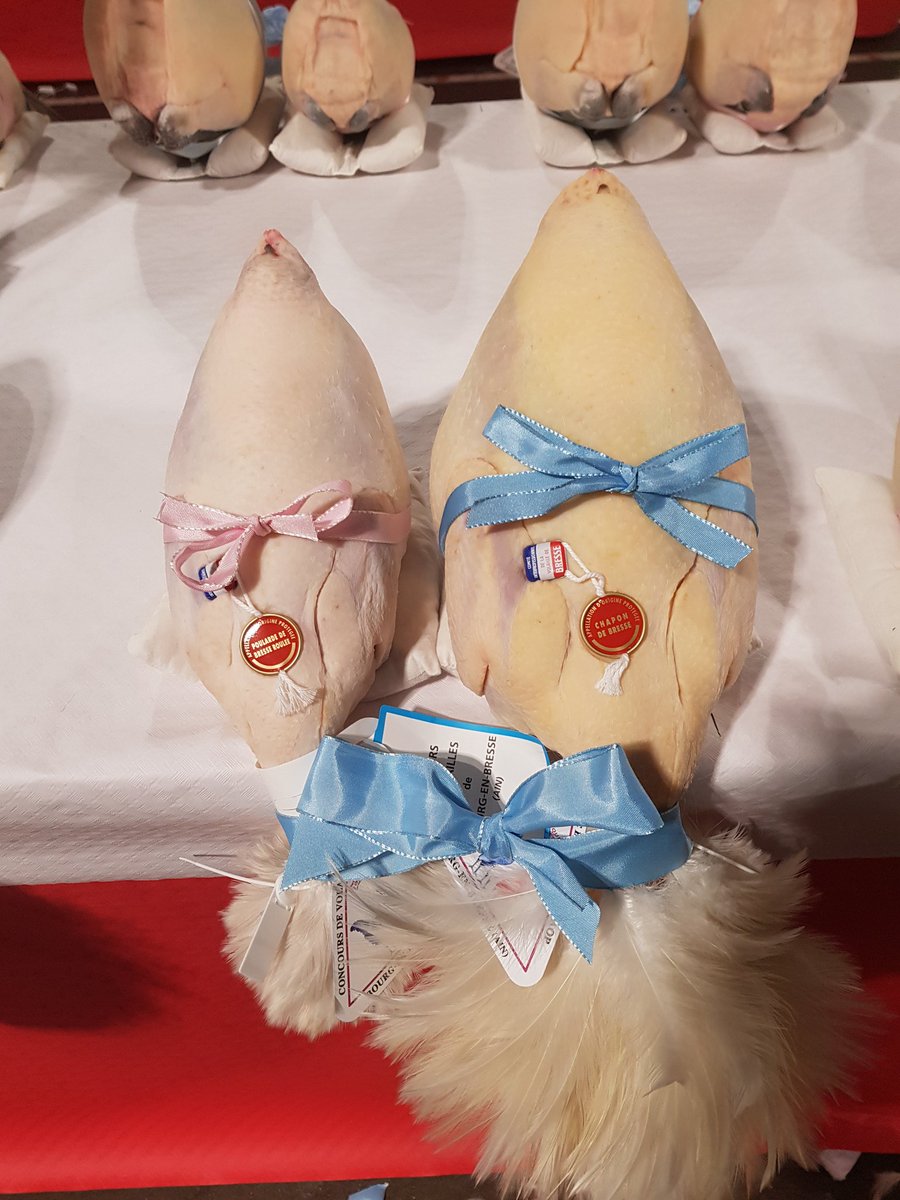 Morgan Merle tweet media