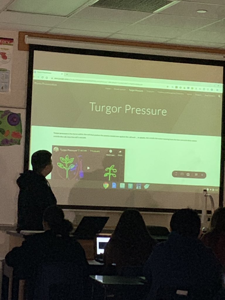 William Fulton V tweet media