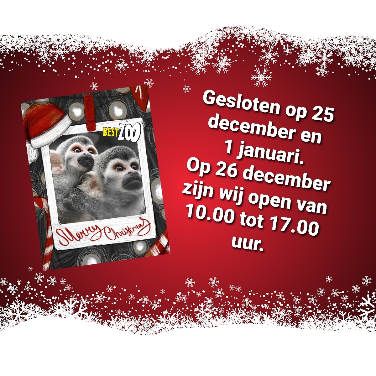 #kerst #dierentuin #dagjeweg #uitje #2ekerstdag #zoo #bestzoo