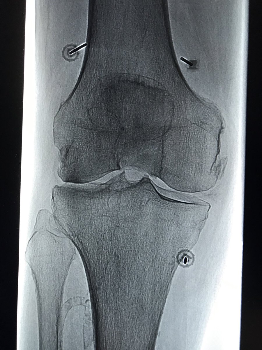 Bassem A Georgy tweet media