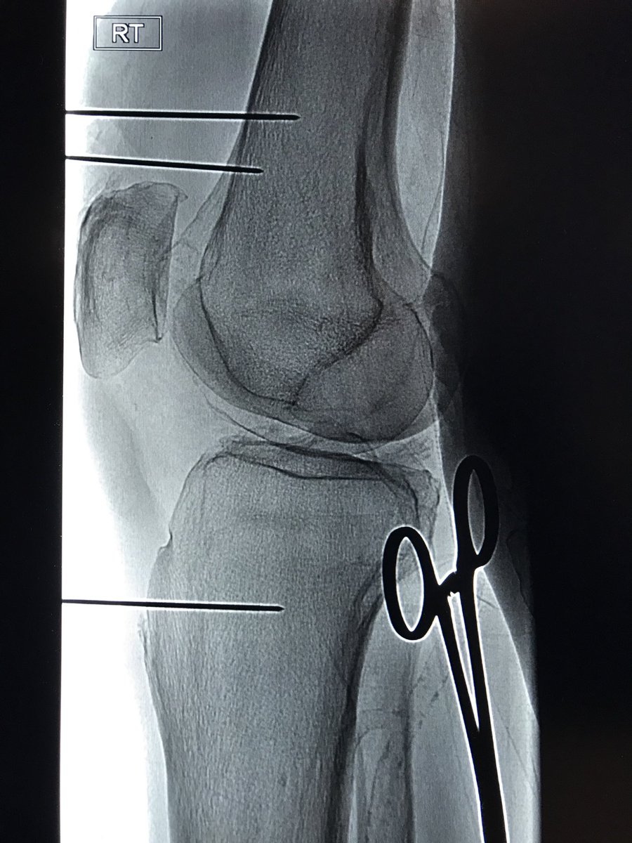 Bassem A Georgy tweet media