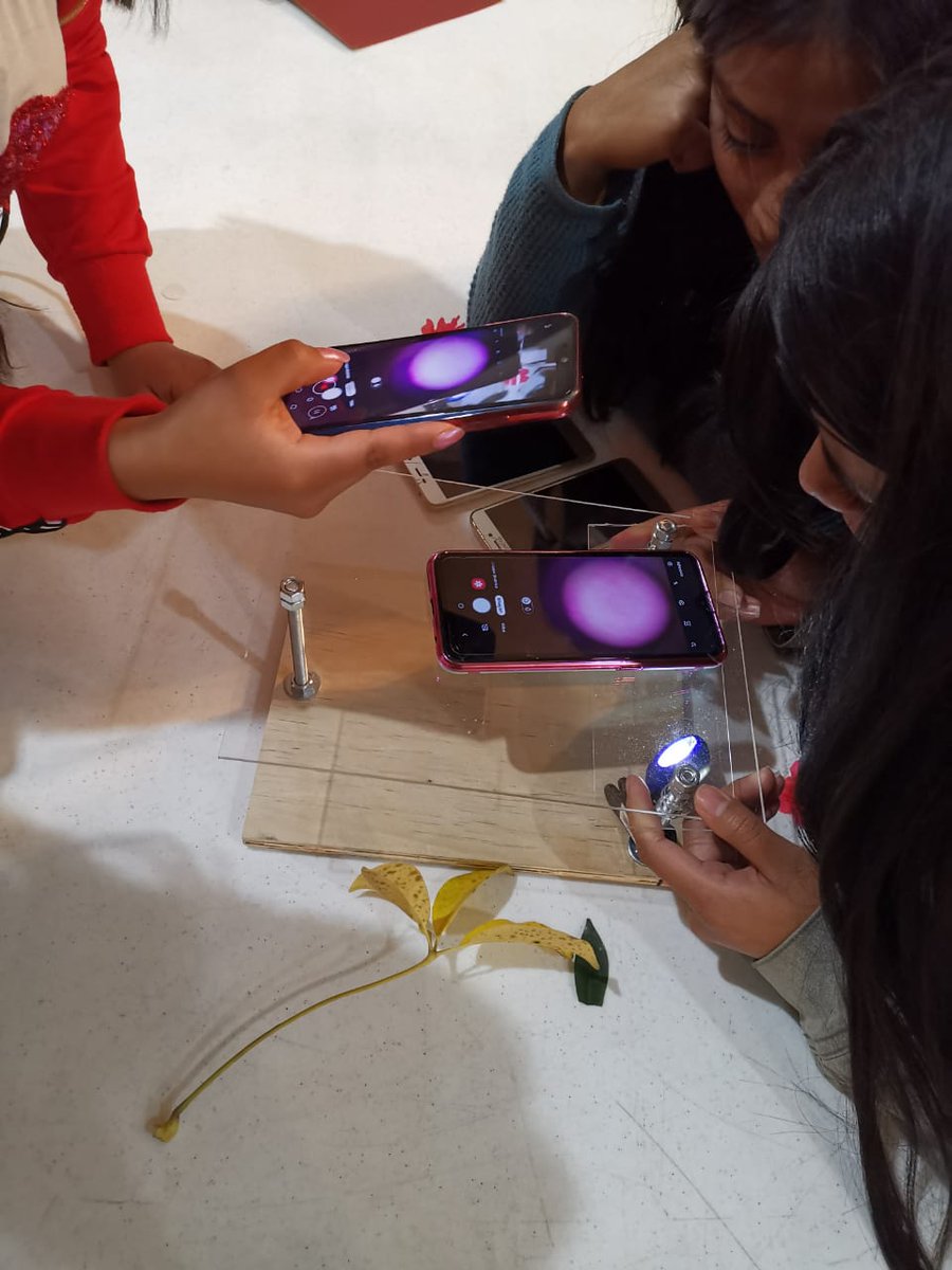 PablixSil's tweet photo. The first #DIYMicroscope workshop in #Xela #Quetzaltenango #Guatemala with community leaders was awesome! Amazing experience! Thanks to @ScopesWorkshop for the support. #Science #outreach #Biology #STEM #Education https://t.co/iu4EUs6eot
