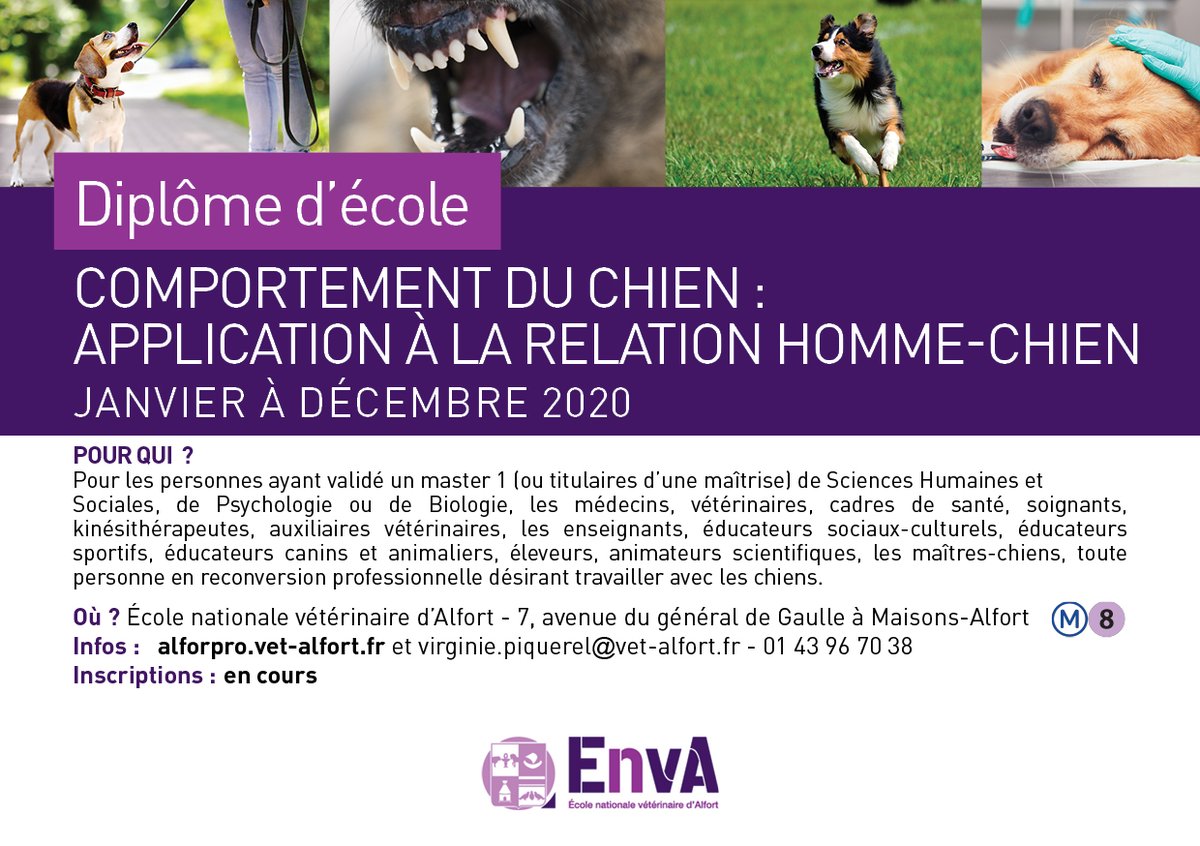Env_Alfort's tweet photo. FORMATION - Si le comportement du chien vous intéresse, les inscriptions à ce diplôme d'école sont ouvertes. Il reste quelques places.
Infos : https://t.co/5ZRenMjKAy https://t.co/cNnMpLAHw7