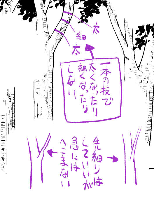 2、3枚目は枝の太さについての注意点。2枚目のような状態は角度次第では現実的にはありそうだけど、絵として見た時のバランスが変なのでやらない方がいいです。 3枚目はその延長で、別れた面積の合計が別れる前より大きいということは途中で太ってるという事なので、やはり不自然。