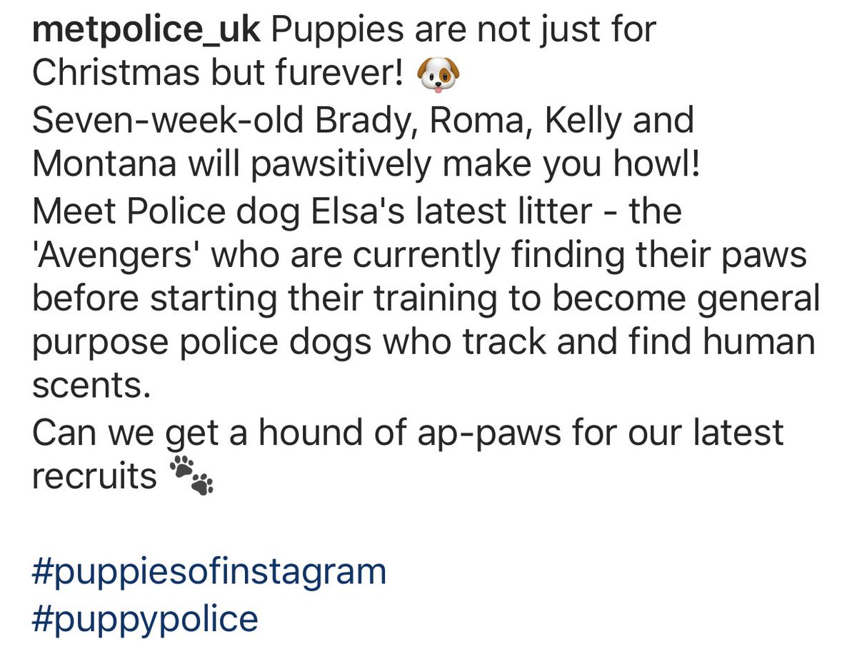 NicNic711's tweet photo. Borrowed from Instagram #MetPolPups https://t.co/W4o7KOowF9