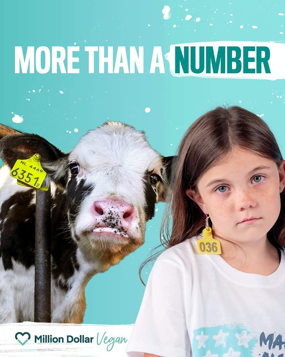 AnimalHeroKids's tweet photo. Aninals are more than a number, they are individuals with unique personalities, just like us. Animal Hero kids Co-President Rescue Rilee treats animals with love and respect.

Photo by @1mDollarVegan 

Go vegan for January 
https://t.co/0zmAgbHJaj

#Kind2All #Educate2Liberate https://t.co/6I6BcXpxHq