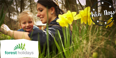 winningmomentuk's tweet photo. 🌲#WIN A £250 VOUCHER FOR FOREST HOLIDAYS!🌲
Forest Holidays are offering one lucky winner the chance to WIN a £250 voucher to use towards one of their #cabinbreaks! 😍

TO ENTER:
1️⃣ Follow us + @forestholidays
2️⃣ Like + RT
3️⃣ Click here ➡ https://t.co/eEJP0iQ6lH https://t.co/4qIFzoeaAG