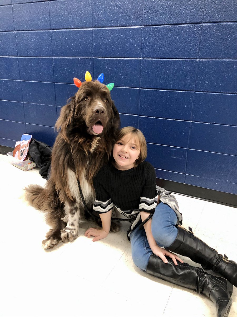 KM_Reading's tweet photo. We got some snuggles and stories in with our furry friends before holiday break! #reading #readingdogs #kmdolphins @BPD3KM @BPD3District 🐶🎄❄️ https://t.co/PyrZiPwZKw