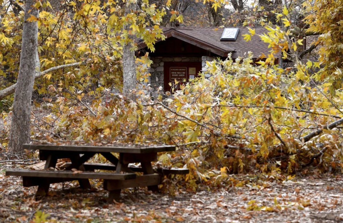 ICYMI: Oak Glen snowstorm’s tree ‘catastrophe’ causes millions of dollars in damage: redlandsdailyfacts.com/2019/12/12/oak…