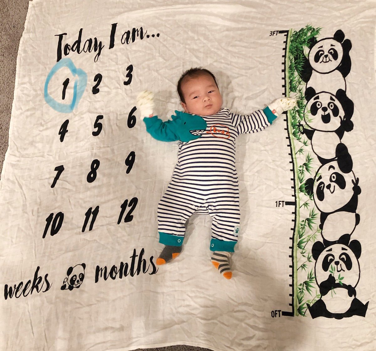 TheWarriorFound's tweet photo. #BabyYang is #YangStrong and Three Pandas Tall this month #FreedomDividend #UBI $1,000 monthly #YangGang #Yang2020 @VisurantViz @HadahiiliYazhi @vets4yang @veteransforyang @YangVets @HadahiiliYazhi @felon_fred @AndrewYang #Yang #MATH #YangGang2020 @DaisyDee1111 @xtina48070734 https://t.co/Wc8IuLQhxp