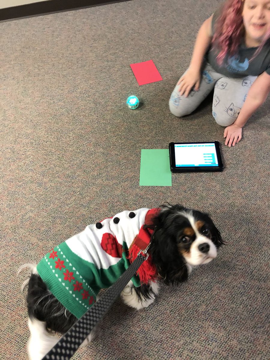 Rosie enjoyed watching students in Mr. Wetzler’s class practice calculating angles while they programmed Spheros.  Thanks to Mrs. Fielding and ITF’s for this experience for our students.