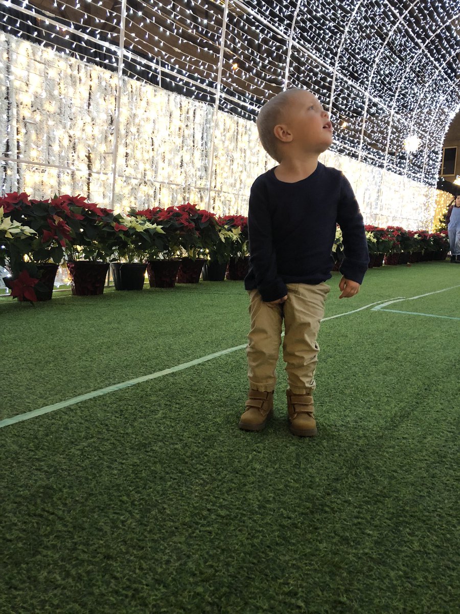 Maybe <a href="/glow_edmonton/">Glow Edmonton</a> is looking for an ambassador? 

I got your guy. 

#glowyeg #glowedmonton #magicofchristmas