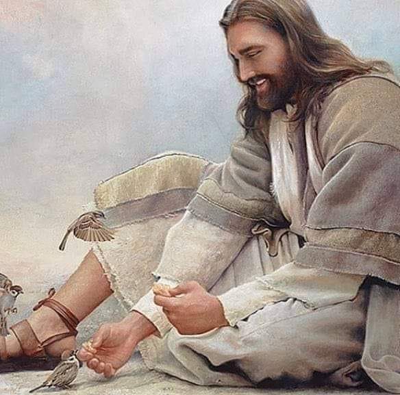 حين كنتِ ترتعشين كسمَكةٍ بين أصابعي.. فأغطّيكِ، عندما تَنْعَسينْ، بشَرْشَفٍ من نُجُوم الصّيفْ..