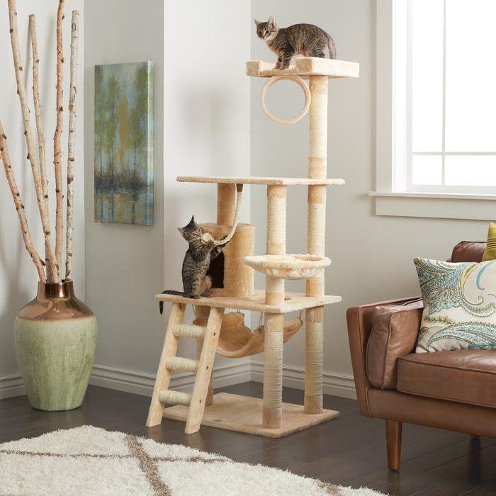 abestproducts's tweet photo. 65 Inch Beige Cat Tree Condo Scratching Post – 3 Platform
Only $106.69! Hurry up Don't Miss :)

https://t.co/pCOGuWIap6

#catlove #catlovers #catlover #cattree #catfurniture #Cat #buynow #Discounts https://t.co/NyK9FL3mWt