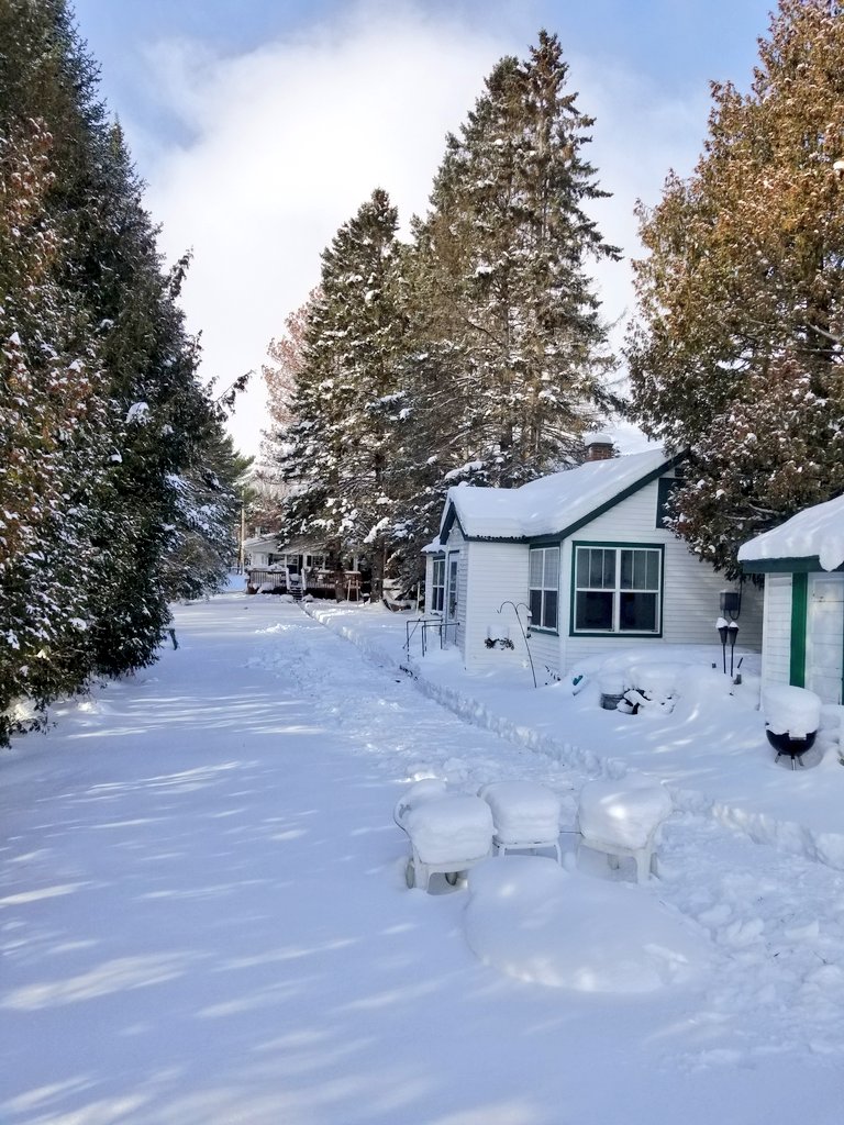UPTreefarmer's tweet photo. It's a sunny afternoon at #DecompressU in #Chassell in the #Keweenaw #upperpeninsula #PureMichigan!  Planning your summer vacation? Find us on #Airbnb as the #RusticCabinwithSauna in Chassell!  Find us at https://t.co/CMQMAXEIZu https://t.co/hNcuoxBcUM