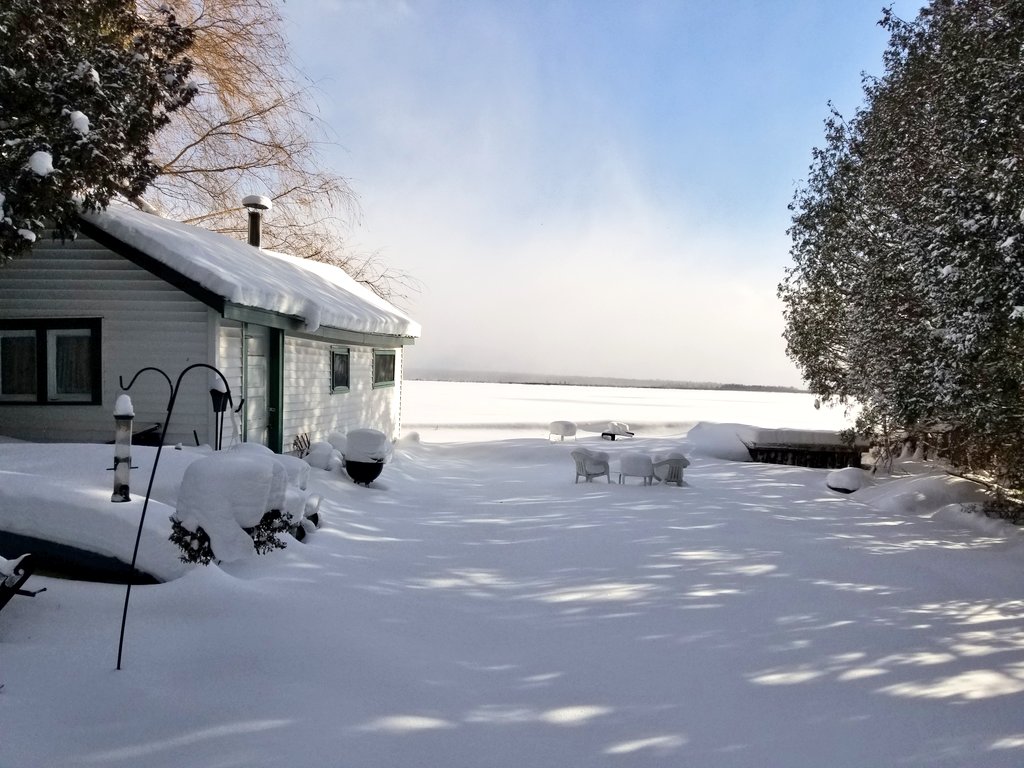 UPTreefarmer's tweet photo. It's a sunny afternoon at #DecompressU in #Chassell in the #Keweenaw #upperpeninsula #PureMichigan!  Planning your summer vacation? Find us on #Airbnb as the #RusticCabinwithSauna in Chassell!  Find us at https://t.co/CMQMAXEIZu https://t.co/hNcuoxBcUM
