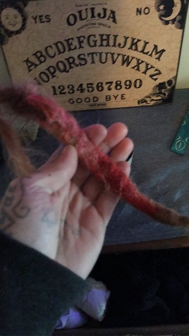 I still have my friends dread 🖤🖤 https://t.co/LAT7Hr94cy<a href="/tag/ohio"class="tags"><span>#ohio</span></a><a href="/tag/cleveland"class="tags"><span>#cleveland</span></a><a href="/tag/edgewater"class="tags"><span>#edgewater</span></a>