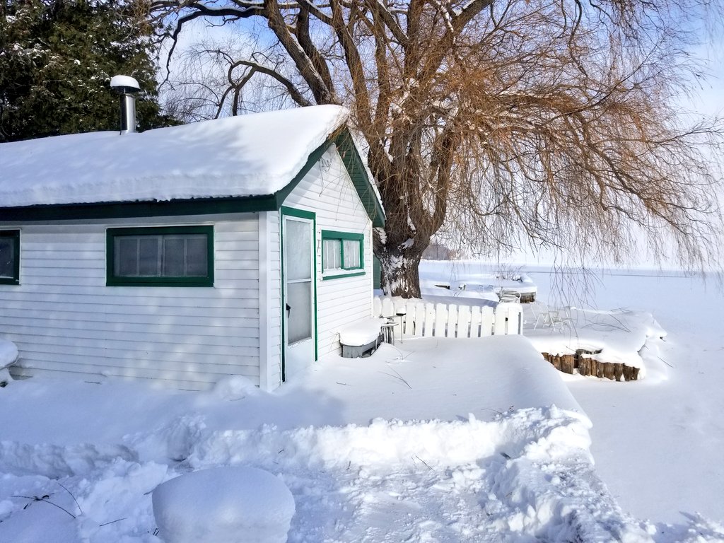 UPTreefarmer's tweet photo. It's a sunny afternoon at #DecompressU in #Chassell in the #Keweenaw #upperpeninsula #PureMichigan!  Planning your summer vacation? Find us on #Airbnb as the #RusticCabinwithSauna in Chassell!  Find us at https://t.co/CMQMAXEIZu https://t.co/hNcuoxBcUM