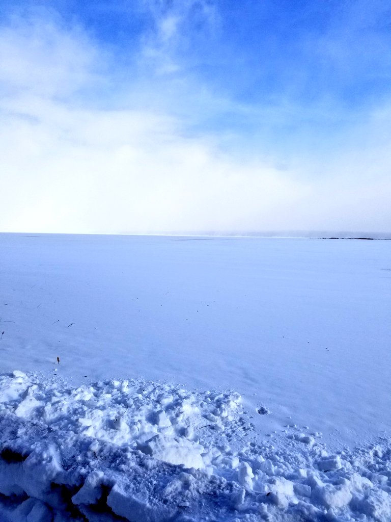 UPTreefarmer's tweet photo. It's a sunny afternoon at #DecompressU in #Chassell in the #Keweenaw #upperpeninsula #PureMichigan!  Planning your summer vacation? Find us on #Airbnb as the #RusticCabinwithSauna in Chassell!  Find us at https://t.co/CMQMAXEIZu https://t.co/hNcuoxBcUM