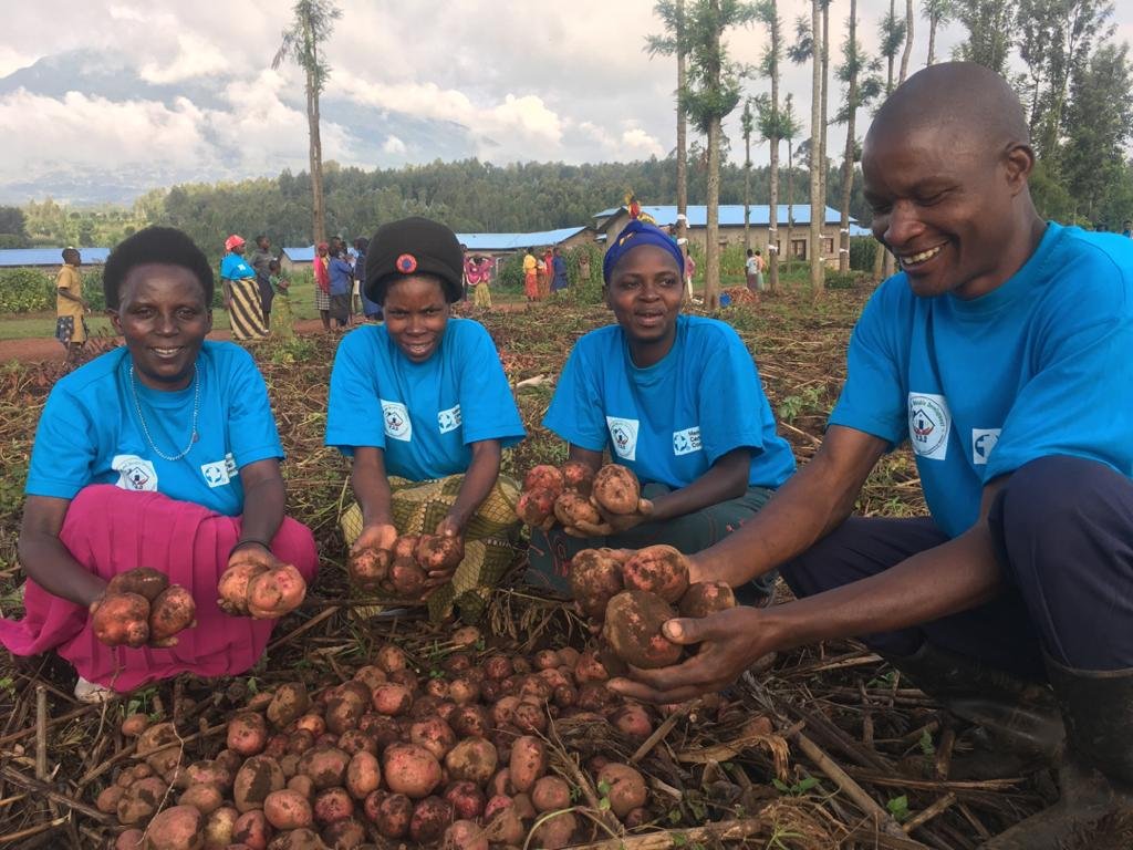 and_pdd's tweet photo. We can still get good harvest and retain the soil texture @Brinen_ @BureraDistrict @mccorg @makuzar1 @RwandaAgriBoard .
This harvest was got after practicing #minimumtillage
#mulching #croprotation #Manuring https://t.co/q3Vg7v65LV