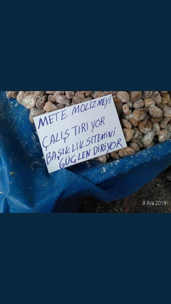 gizemmssaglam's tweet photo. @arslanttugce https://t.co/h59dOJprtv