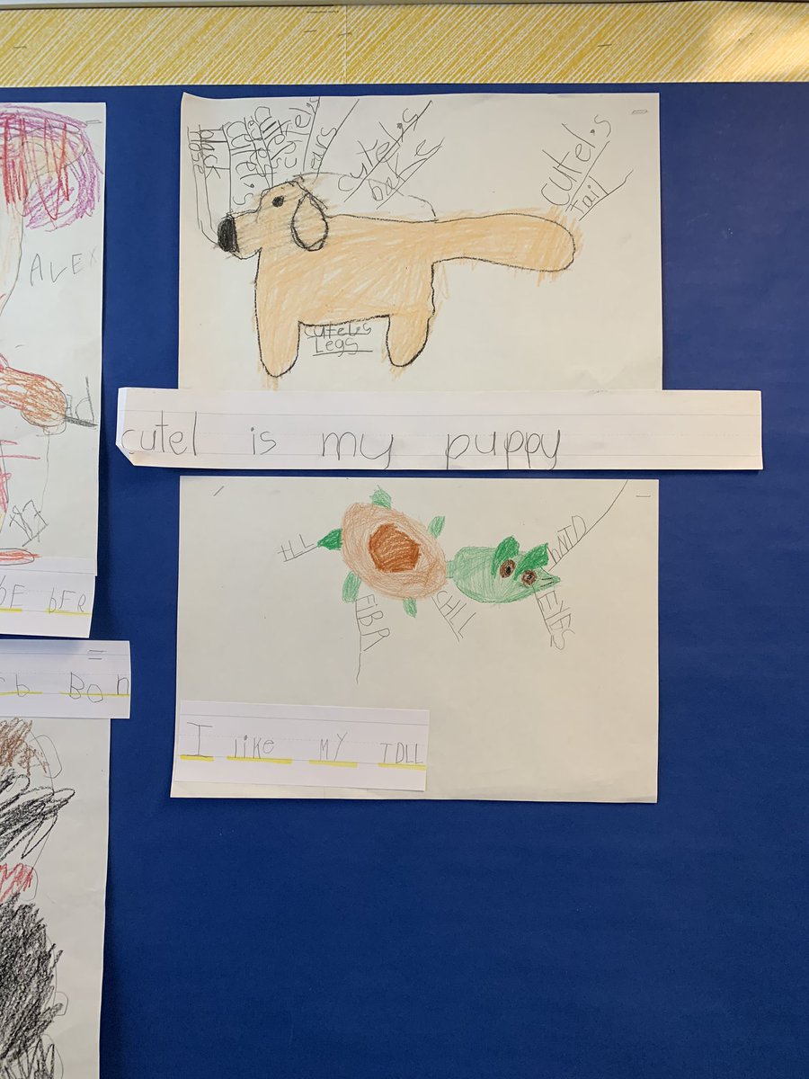 readingteachsu's tweet photo. Stopped to take in some kindergarten writing this morning. Thanks for giving me a sneak peek into your class. #showandtell #writingforreaders #tcrwp #natickps https://t.co/Vms0XIvYXl