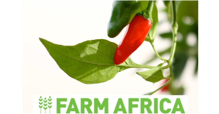 We are proud to announce our support of Farm Africa's program that provides training and resources to help small-scale chilli farmers in Uganda fulfill their market potential. Read more: bit.ly/36LIC8Y