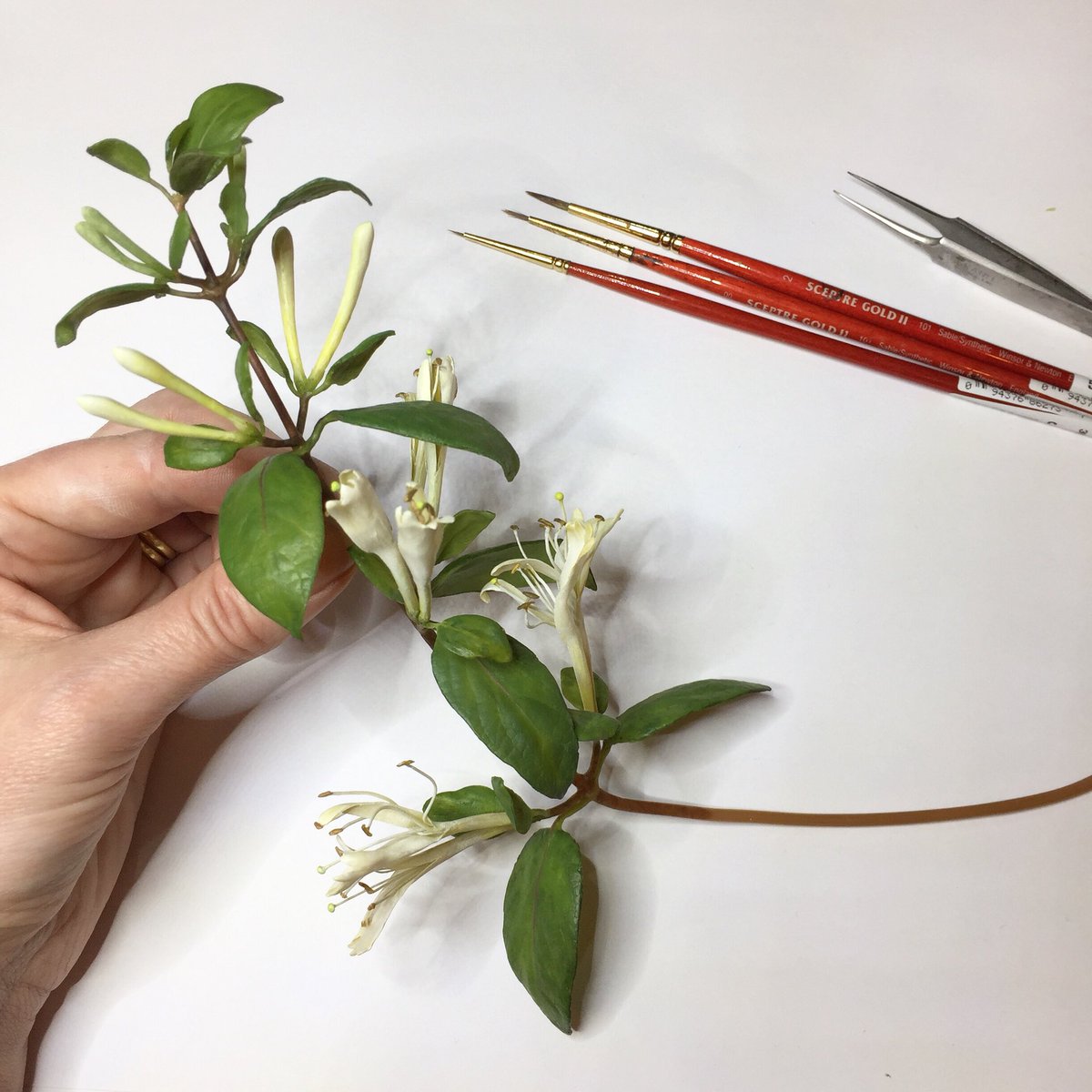 TownsendAnnette's tweet photo. Beeswax honeysuckle sculpture. #wip for my #collectopen2020 installation @SomersetHouse https://t.co/fmtubF7x7c