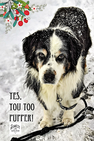 Hi #Puppers...we see u enjoying a walk w/your Dog Mom/Dads. While they enjoy their free cookie w/their coffee, guess who can have a biscuit too?! Yes, YOU!! Make sure 2 remind them 2 reach in the PupperBiscuitJar 4 a free treat for u. #OldMotherHubbardBakingCo biscuits!🥰🐕🐾