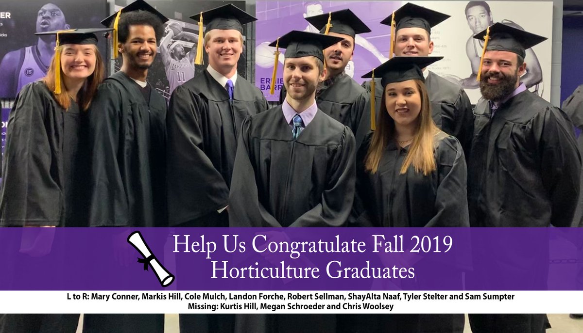 K-State HNR tweet media