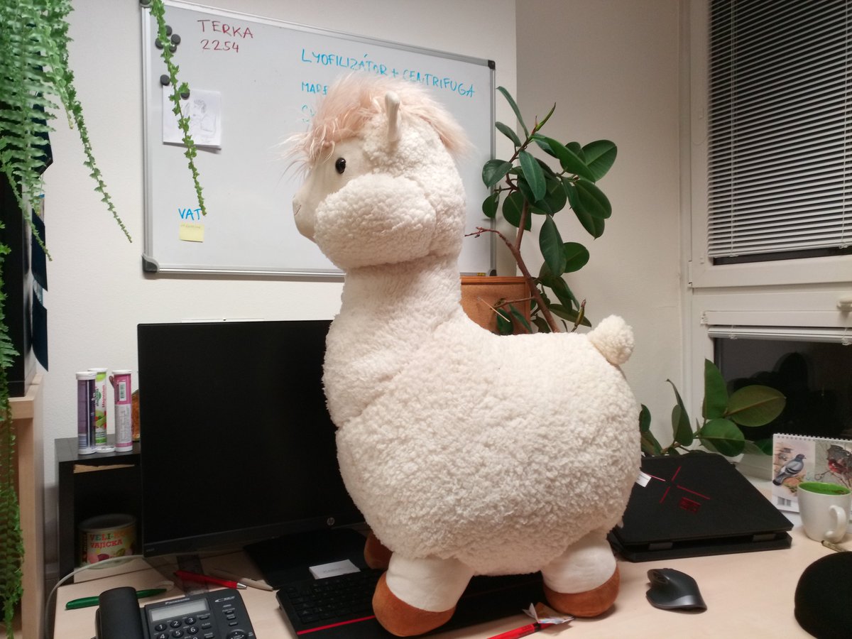 MartinVolf tweet media