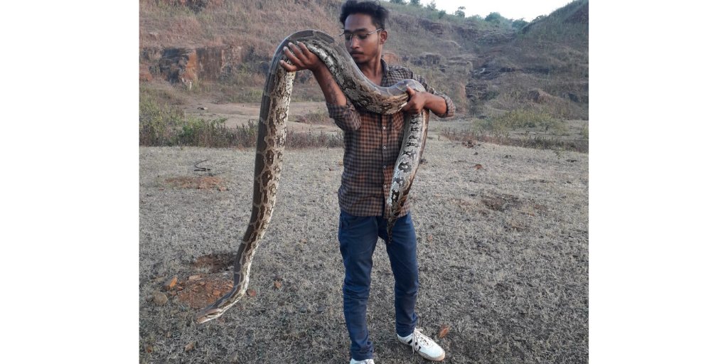 lifeforachildUS's tweet photo. Tushar volunteers as a snake catcher, attending to calls from residents who have spotted a snake on the loose. He is never quite sure what he will face when he answers a call, but pythons and cobras are often there to greet him! #doc #dsma #type1strong #pwd #t1dlookslikeme #t1d https://t.co/J9DfW3Bwkk